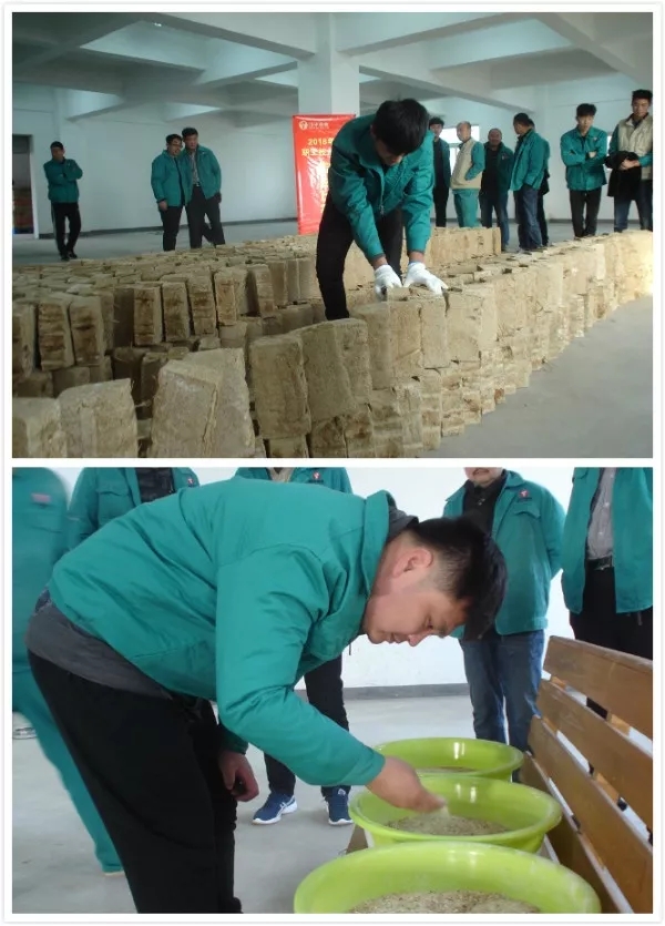 1598923419130997.jpg 18技能比武2.webp.jpg