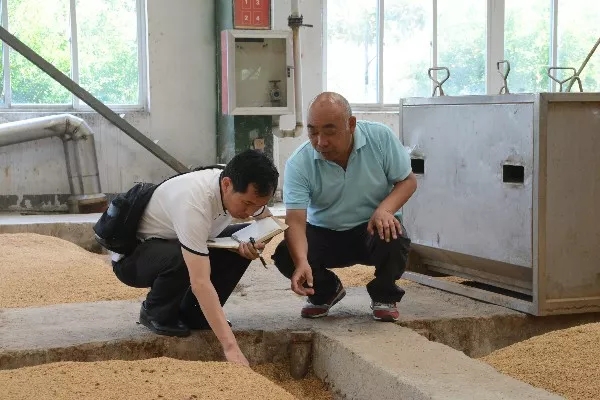 1599030529105359.jpg 洋河紅星參觀1.webp.jpg